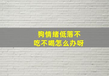 狗情绪低落不吃不喝怎么办呀