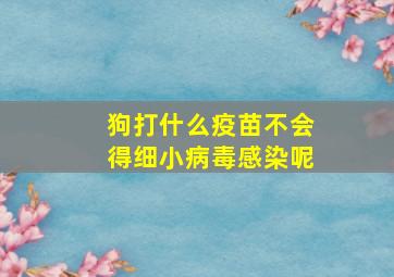 狗打什么疫苗不会得细小病毒感染呢