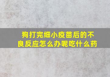 狗打完细小疫苗后的不良反应怎么办呢吃什么药