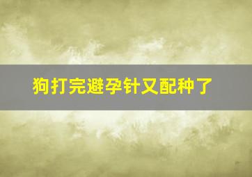 狗打完避孕针又配种了