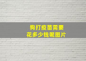 狗打疫苗需要花多少钱呢图片