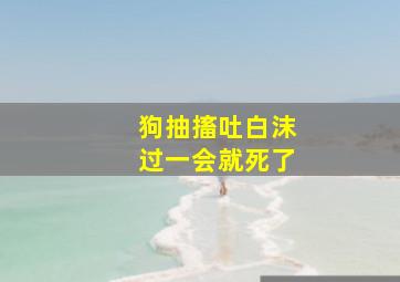 狗抽搐吐白沫过一会就死了