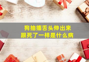 狗抽搐舌头伸出来跟死了一样是什么病