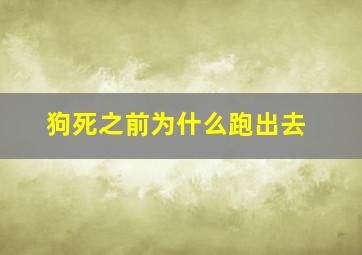 狗死之前为什么跑出去