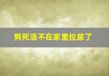 狗死活不在家里拉尿了