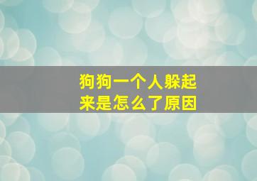 狗狗一个人躲起来是怎么了原因