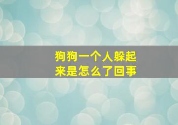 狗狗一个人躲起来是怎么了回事