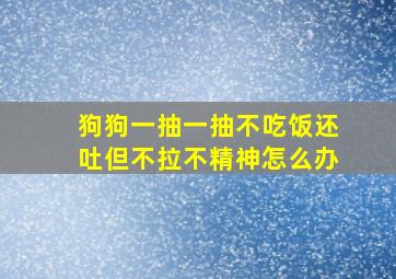 狗狗一抽一抽不吃饭还吐但不拉不精神怎么办