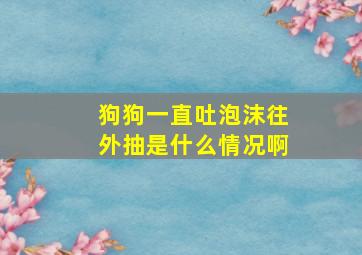 狗狗一直吐泡沫往外抽是什么情况啊