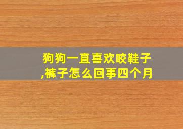 狗狗一直喜欢咬鞋子,裤子怎么回事四个月