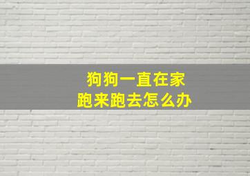 狗狗一直在家跑来跑去怎么办