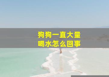 狗狗一直大量喝水怎么回事