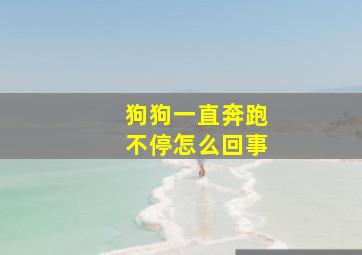 狗狗一直奔跑不停怎么回事