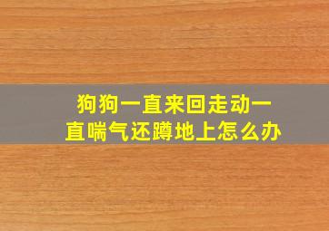 狗狗一直来回走动一直喘气还蹲地上怎么办