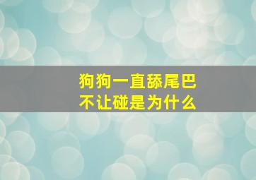 狗狗一直舔尾巴不让碰是为什么