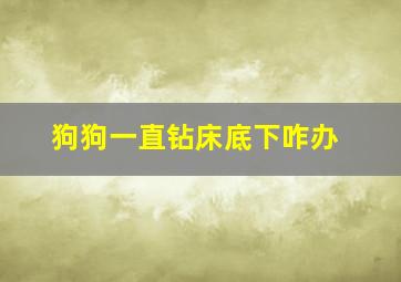 狗狗一直钻床底下咋办