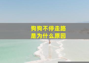 狗狗不停走路是为什么原因