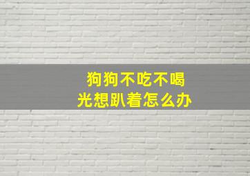 狗狗不吃不喝光想趴着怎么办