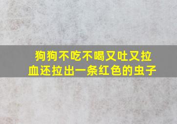 狗狗不吃不喝又吐又拉血还拉出一条红色的虫子