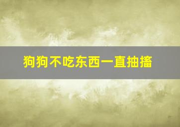 狗狗不吃东西一直抽搐