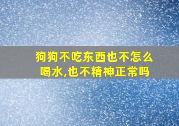 狗狗不吃东西也不怎么喝水,也不精神正常吗