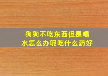 狗狗不吃东西但是喝水怎么办呢吃什么药好