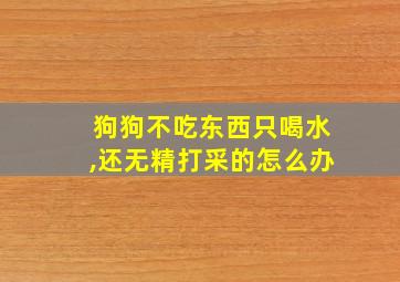 狗狗不吃东西只喝水,还无精打采的怎么办