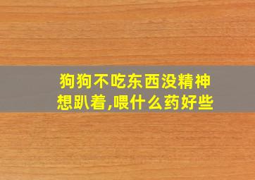 狗狗不吃东西没精神想趴着,喂什么药好些