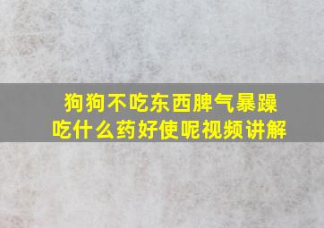 狗狗不吃东西脾气暴躁吃什么药好使呢视频讲解