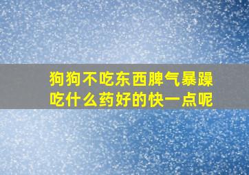 狗狗不吃东西脾气暴躁吃什么药好的快一点呢