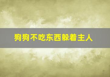 狗狗不吃东西躲着主人