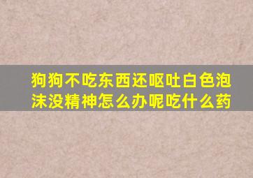 狗狗不吃东西还呕吐白色泡沫没精神怎么办呢吃什么药