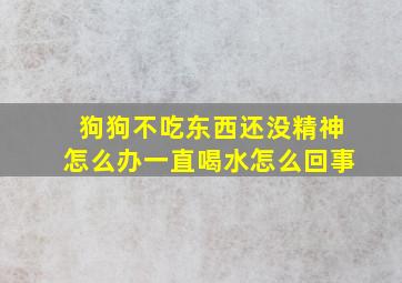 狗狗不吃东西还没精神怎么办一直喝水怎么回事