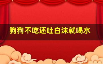 狗狗不吃还吐白沫就喝水