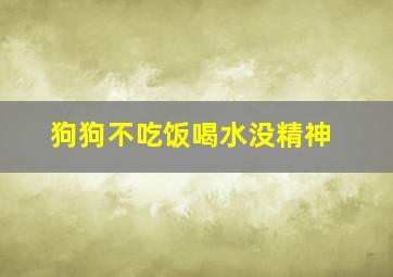 狗狗不吃饭喝水没精神