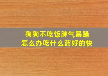 狗狗不吃饭脾气暴躁怎么办吃什么药好的快