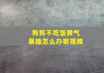 狗狗不吃饭脾气暴躁怎么办呢视频