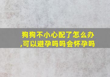 狗狗不小心配了怎么办,可以避孕吗吗会怀孕吗