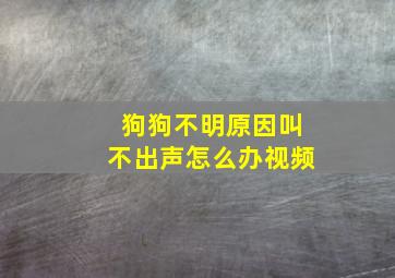 狗狗不明原因叫不出声怎么办视频