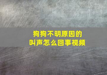 狗狗不明原因的叫声怎么回事视频