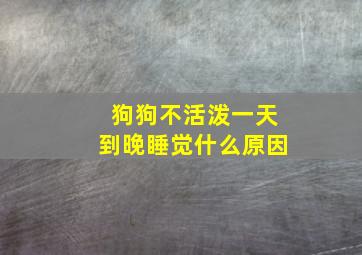 狗狗不活泼一天到晚睡觉什么原因