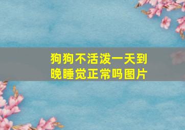 狗狗不活泼一天到晚睡觉正常吗图片