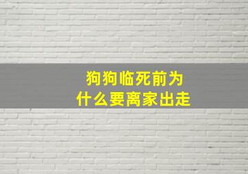 狗狗临死前为什么要离家出走