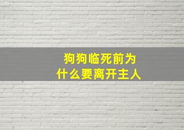 狗狗临死前为什么要离开主人