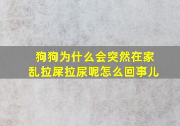 狗狗为什么会突然在家乱拉屎拉尿呢怎么回事儿