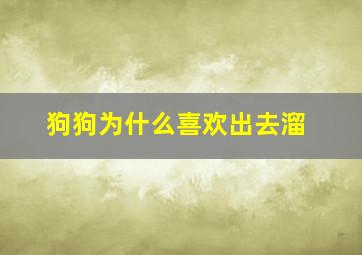 狗狗为什么喜欢出去溜