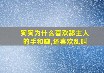 狗狗为什么喜欢舔主人的手和脚,还喜欢乱叫