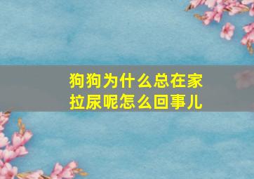 狗狗为什么总在家拉尿呢怎么回事儿