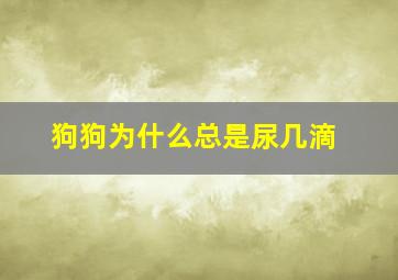 狗狗为什么总是尿几滴