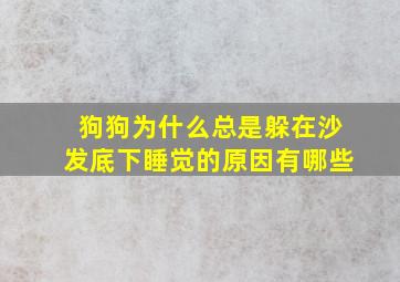 狗狗为什么总是躲在沙发底下睡觉的原因有哪些